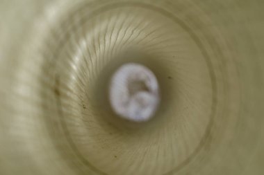 Defoktus, bulanıklık, gürültü, tahıl etkisi. Bir rulo beyaz plastik ağın içinde. Duvar takviyesi için inşaat malzemesi. Seçici odaklanma. Soyut arkaplan.