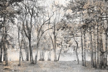 Boş bir kış ormanı. Yaprak döken ve kozalaklı ağaç gövdeleri. Yumuşak pembe tonlu tek renkli. Dijital suluboya resim.