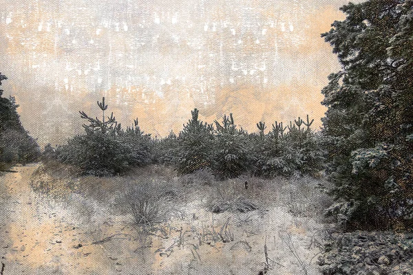 Сосновый Зимний Лес Вечно Зеленые Деревья Покрытые Снегом Пасмурный Морозный — стоковое фото