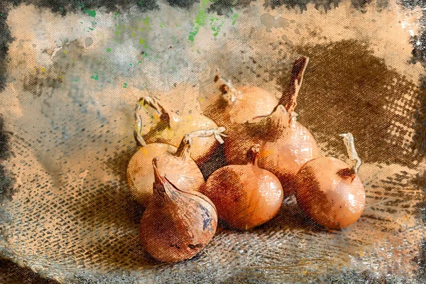 Colheita Legumes Bolbos Castanhos Crus Saco Cebolas Maduras Pintura Aquarela — Fotografia de Stock