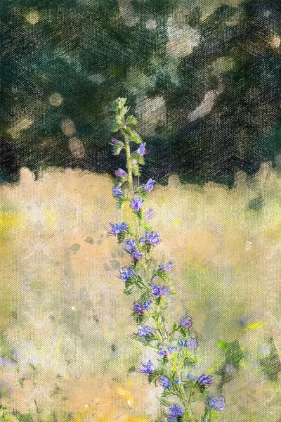Tiges Vertes Herbes Sauvages Avec Des Fleurs Bleues Prairie Fleurie — Photo