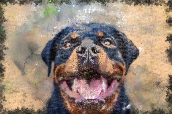 一个微笑的黑狗的肖像 快乐的男Rottweiler坐在那里看着你 积极的宠物坐着 带着灿烂的微笑 数码水彩画 — 图库照片
