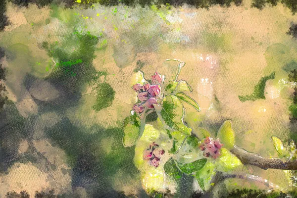 一片盛开的果园 阳光照亮了开花的苹果树枝条 分枝与绿色的叶子和关闭的粉红色芽 数码水彩画 — 图库照片