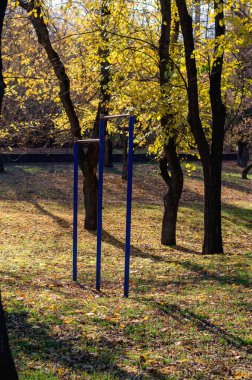 Şehrin sonbahar parkında bir spor sahası. Paralel barlar, ısınma ve zindelik için jimnastik aletleri. Sağlıklı bir yaşam tarzı. Güneşli bir sonbahar günü. Seçici odak.