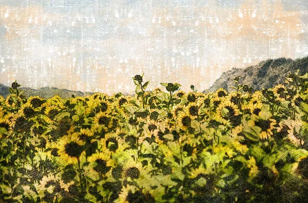 Ripe Sunflowers Valley Sunflower Harvest Season South Ukraine Digital Watercolor — Stock Photo, Image