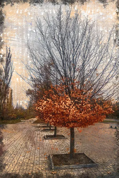Сезон Листьев Городе Дерево Сферической Короной Листьев Небольшая Группа Оранжевых — стоковое фото