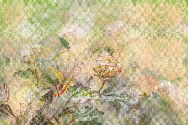 Sommerbeitemarker Med Villgress Fordømte Enger Blomster Gress Digitalt Akvarellmaling – stockfoto