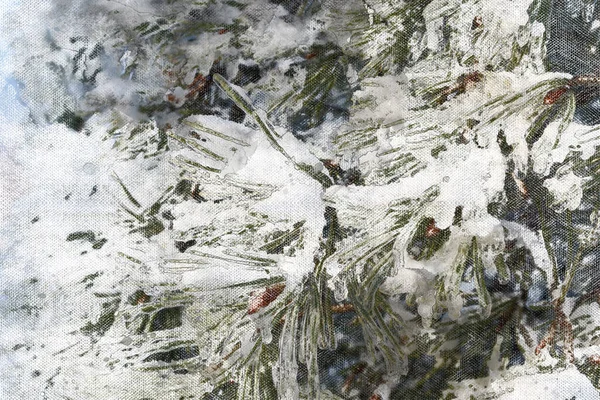 소나무의 얼어붙은 가지들 소나무의 가지들 눈으로 디지털 수채화 — 스톡 사진