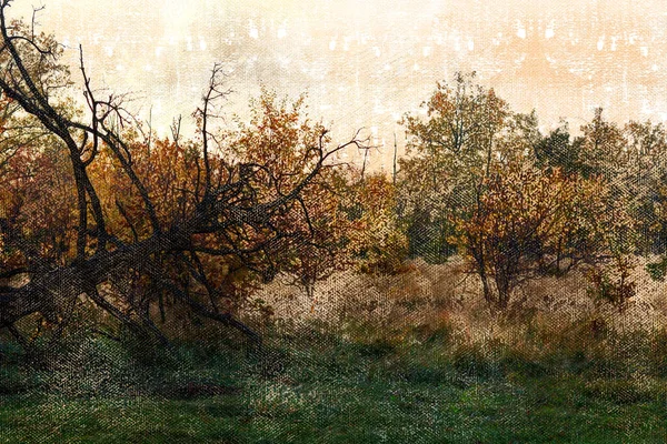 Осенний Лес Падшее Дерево Перед Дубовой Рощей Вечером Цифровая Акварель — стоковое фото