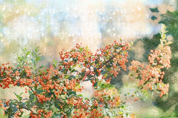 Bagas Espinheiro Laranja Não Maduras Ramo Crataegus Pintura Aquarela Digital — Fotografia de Stock