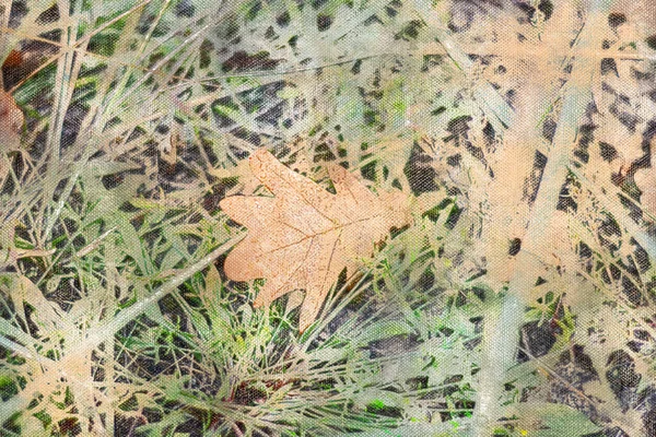 Dry Oak Leaf Green Backyard Lawn Leafy Season Digital Watercolor — Stock Photo, Image