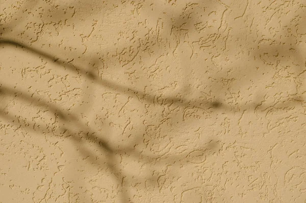 不均一な黄色のバック壁に木の枝の影 葉のない枝の暗い影 建物の外観の装飾的なプラスター 選択的フォーカス 人はいない — ストック写真