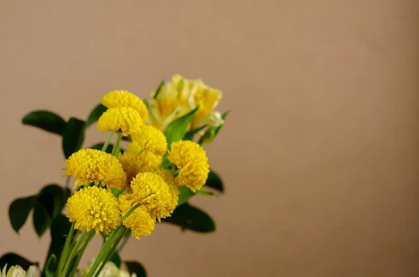 Gele Chrysanten Boeket Van Mooie Delicate Bloemen Tegen Een Beige — Stockfoto