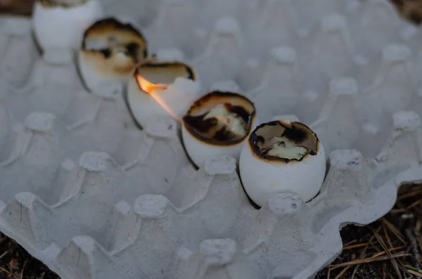 空の卵殻キャンドルは 卵のトレイに書き込みます １列に５個の卵殻を燃やす 選択トリック — ストック写真