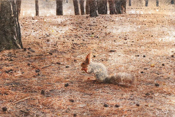 Squirrel Coniferous Forest Rodent Sits Ground Eats Seeds Cones Digital — 图库照片