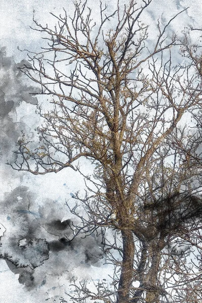 Tree Leaves Thundering Sky Spring Acacia Tree Digital Watercolor Painting — Stock Fotó