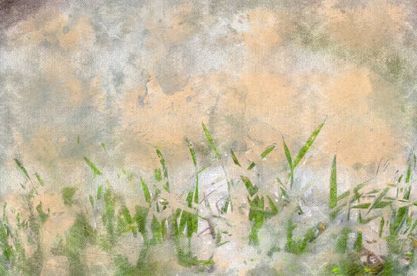 Frozen Green Grass Close Unmowed Front Lawn Overnight Hailstorm Digital — стоковое фото