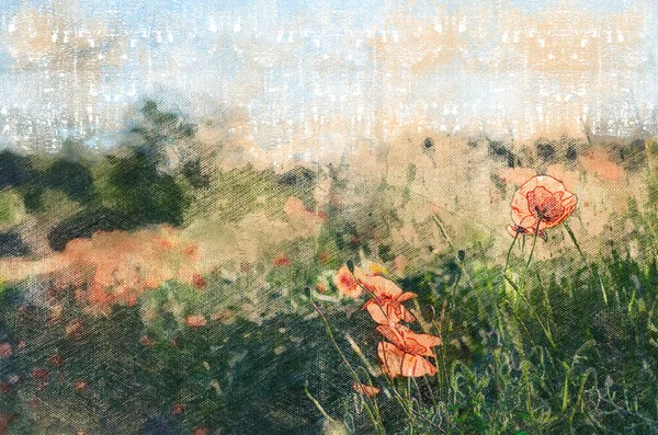 Field Poppies Blooming Field Wildflowers Digital Watercolor Painting — стоковое фото