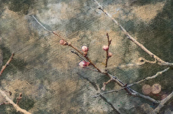 Cherry Tree Branches Swelling Buds Spring Blossom Trees Orchard Digital — Fotografia de Stock