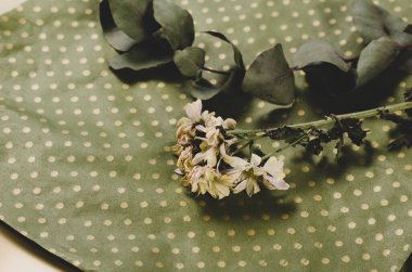 Chrysanthemum flower and eucalyptus branch close-up. Fading flowers on a gray-gold background. Selective focus.