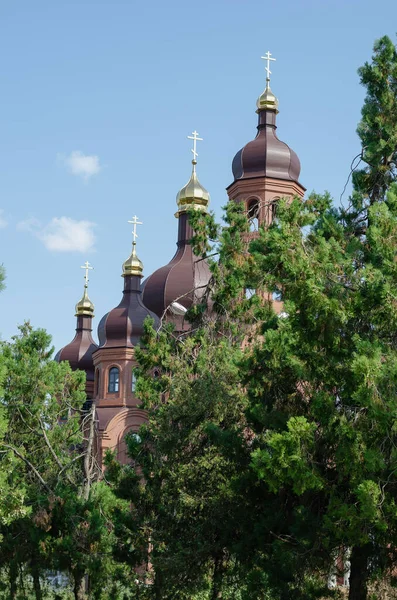 Коричневий Дах Золотими Куполами Православної Церкви Проти Блакитного Неба Християнський — стокове фото