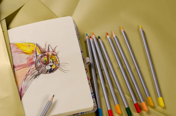 Карандаш Красочный Рисунок Удивленной Кошки Открытой Тетради Набор Деревянных Карандашей — стоковое фото