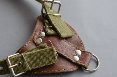 Gri bir arka planda köpek koşumu. Evcil hayvan malzemeleri yakın planda. Seçici odak.