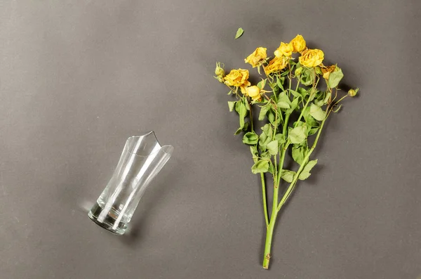 Flores Amarillas Cristal Transparente Roto Sobre Fondo Gris Rosas Marchitas — Foto de Stock