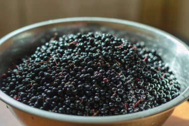 Olgun siyah mürver. Metal bir kasede Sambucus zencisi. Yakın plan. Seçici odak.