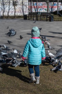 Mavi ceketli bir çocuk şehir güvercin sürüsüne doğru koşuyor. Uzun at kuyruklu bir kız. Dikiz aynası. İlkbahar.