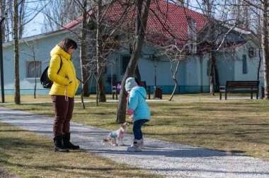 Bir anne, kızı ve evcil hayvanıyla birlikte şehir parkında yürüyüşe çıkar. Kız Chihuahua köpeğine elinden bir hediye veriyor. Güneşli bir bahar günü..