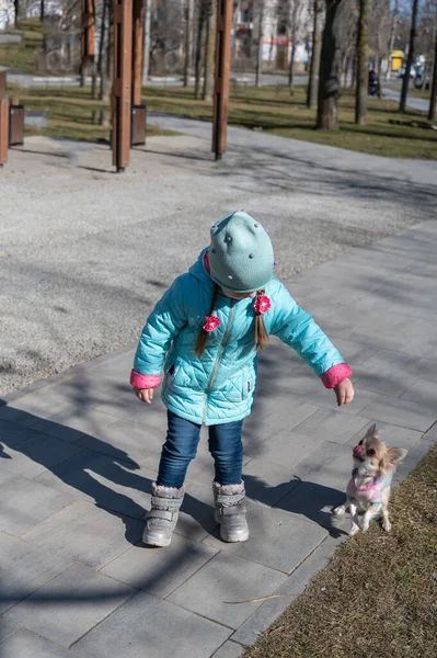 Uma Criança Brinca Parque Com Cachorro Pequeno Uma Rapariga Cão — Fotografia de Stock
