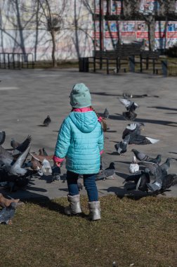 Mavi ceketli bir çocuk şehir güvercin sürüsüne doğru koşuyor. Uzun at kuyruklu bir kız. Dikiz aynası. İlkbahar.