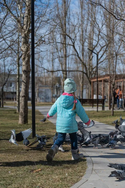 Uma Menina Está Perseguindo Pássaros Parque Cidade Uma Criança Cinco — Fotografia de Stock