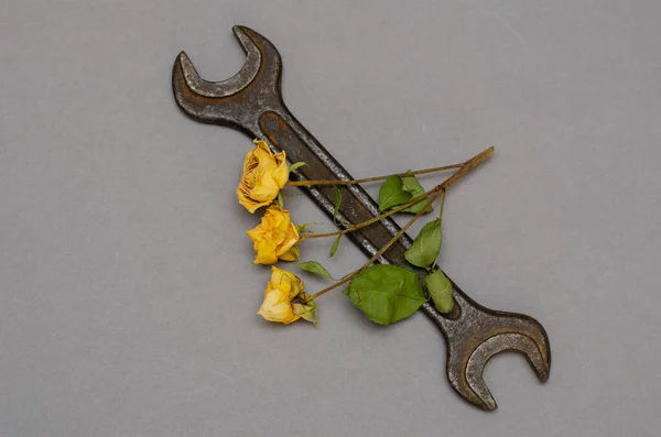 Зникаючі Квіти Іржавий Гайковий Ключ Три Сушені Троянди Старий Ручний — стокове фото