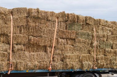 Dikdörtgen kuru saman balyaları donanım kayışlarıyla korunuyor. Tarım ürünlerinin karayoluyla kargo taşımacılığı. Gündüz vakti. Binanın dışında. Seçici odak.
