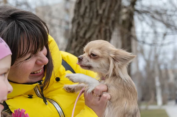 Retrato Família Com Animal Estimação Mãe Filha Cão Chihuahua Cão — Fotografia de Stock