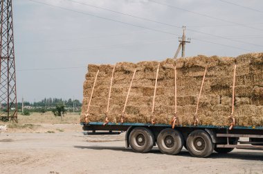 Dikdörtgen kuru saman balyaları bir kamyonun kayışlarıyla sabitlenmiş. Samanlı traktör platformu.