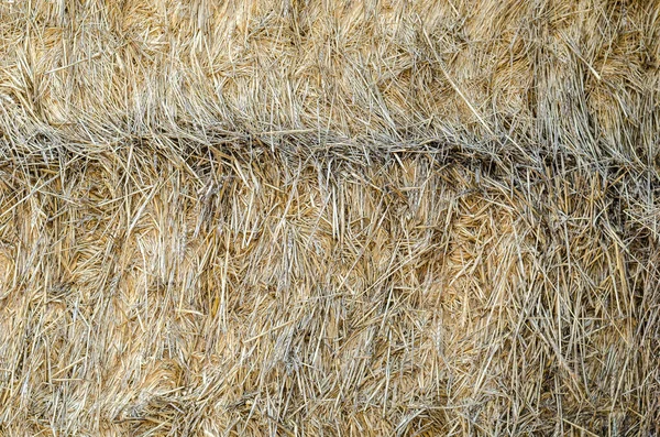 Texture Dry Straw Close Stack Rectangular Bales Hay Daytime Selective — Stock Photo, Image