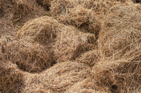 Texture Bale Dry Straw Stack Chaotically Stacked Yellow Hay Daytime — Stock Photo, Image