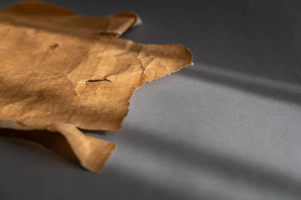 Millimeter Schaal Coördinaat Tekenpapier Gemarkeerd Vierkanten Een Stukje Bruin Verfrommeld — Stockfoto