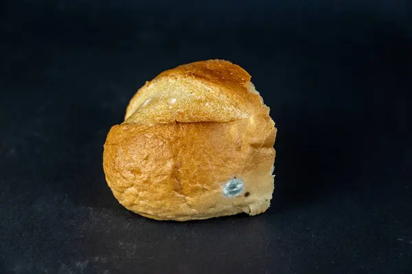 Een Stuk Beschimmeld Brood Tegen Een Zwarte Achtergrond Een Muf — Stockfoto