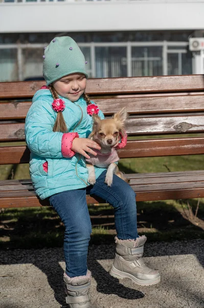 Retrato Uma Menina Pequeno Cão Marrom Sentado Banco Uma Criança — Fotografia de Stock