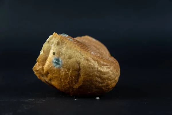 Кусок Заплесневелого Хлеба Черном Фоне Черствый Кусок Пшеничного Хлеба — стоковое фото