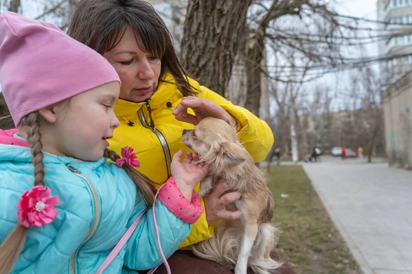 Uma Família Com Pequeno Cão Sentado Banco Parque Uma Criança — Fotografia de Stock