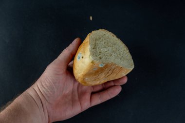 Bir adam siyah arka planda küflü bir parça ekmek tutuyor. Bir parça bayat buğday ekmeğiyle yetişkin bir adamın eli..