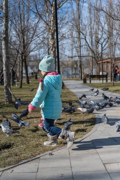 Girl Scares Pigeons City Park Flock Birds Eats Sitting Path — Foto de Stock
