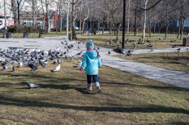 Şehir parkındaki bir kız güvercinleri korkutuyor. Gri bir meydanda oturan bir kuş sürüsü yemek yiyor. Bir çocuk kaçar ve kuşları korkutur..