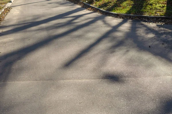 Empty Paved Road Fallen Leaves Lie Curbs Leafy Season — Stock Fotó