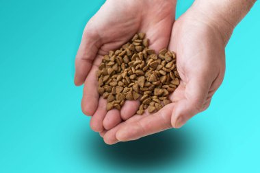 Açık adamın avuçlarında, turkuaz arka planda evcil hayvan yiyeceği. Yetişkin erkek elinde kuru kedi maması tutuyor. T